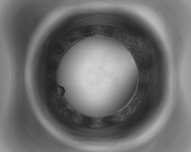 X0000113170766200909111034