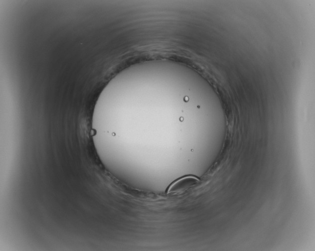 X0000113170772200909111034