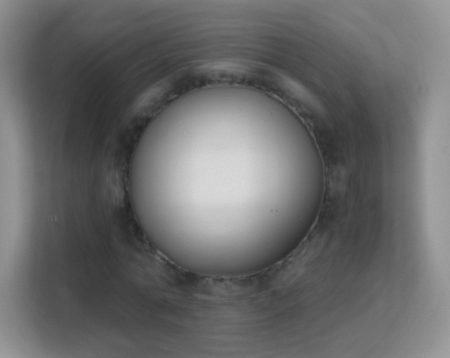 X0000113170774200909111034