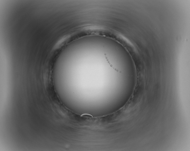 X0000113170775200909111034