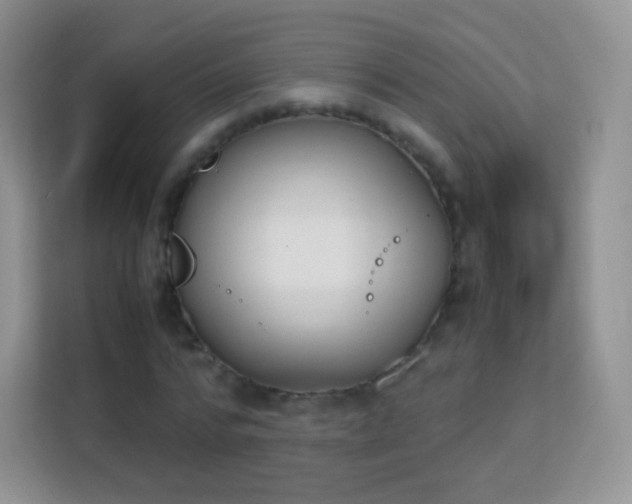 X0000113170776200909111034