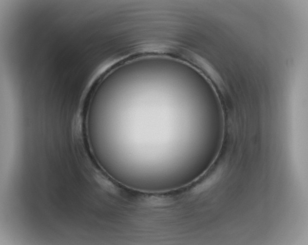 X0000113170779200909111034