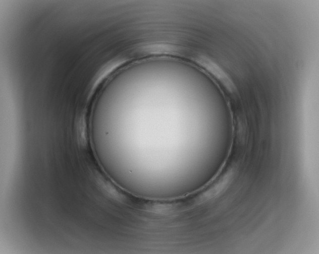 X0000113170782200909111034