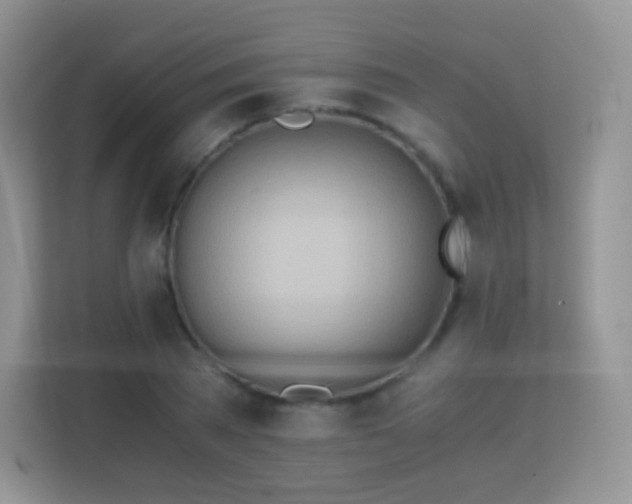 X0000113170785200909111033