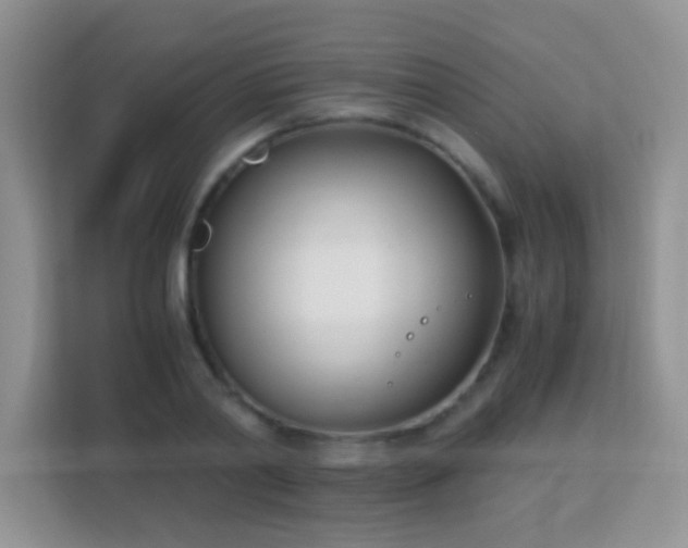 X0000113170790200909111033