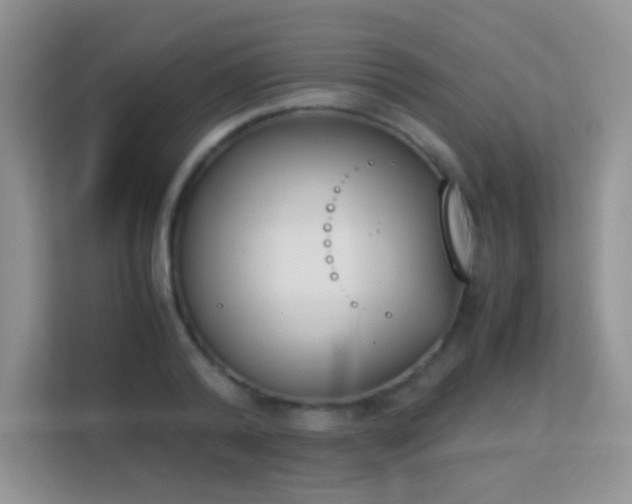 X0000113170792200909111033
