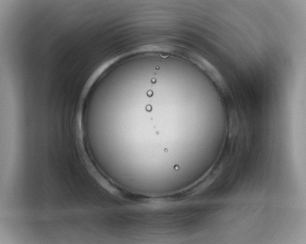 X0000113170796200909111033