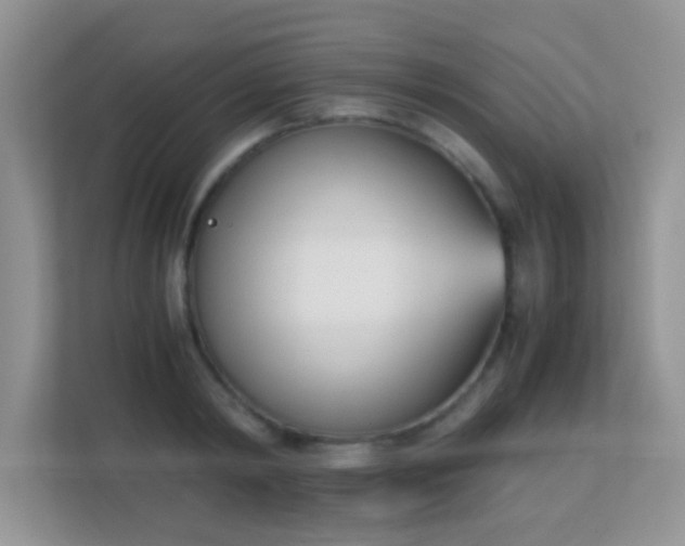 X0000113170798200909111033