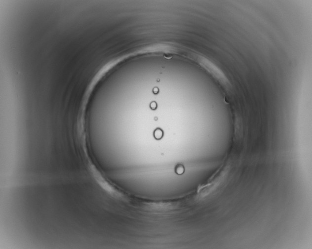 X0000113170800200909111033