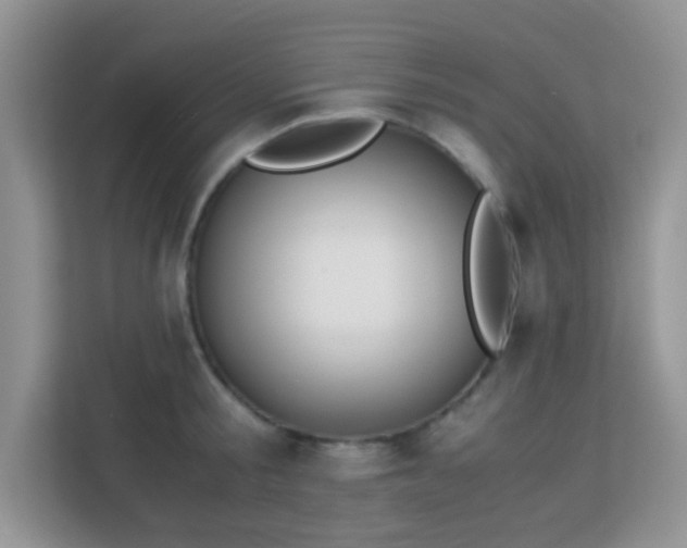 X0000113170805200909111033