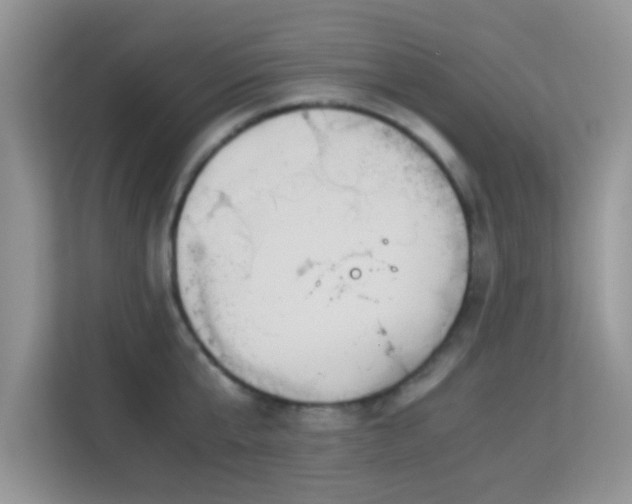 X0000113170807200909111033