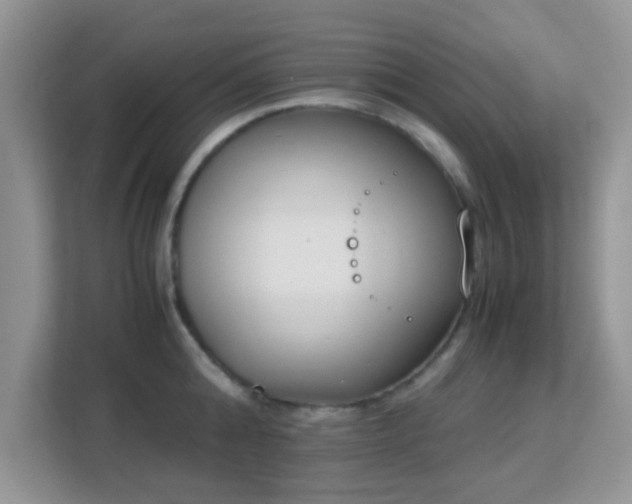 X0000113170808200909111033