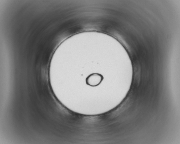 X0000113170810200909111033