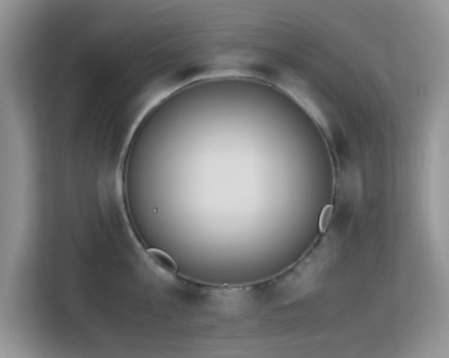 X0000113170813200909111033