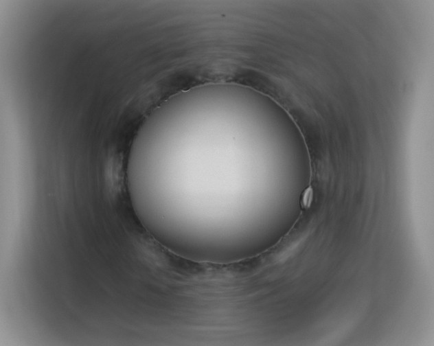 X0000113170818200909111032