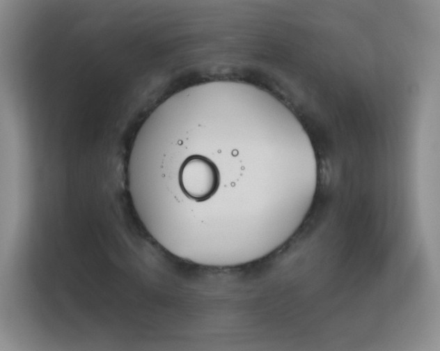 X0000113170820200909111032