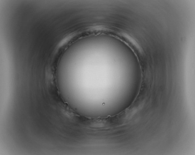 X0000113170823200909111033