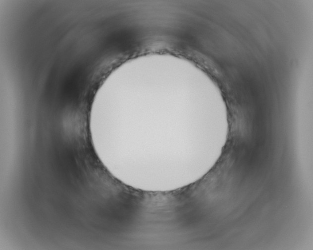 X0000113170824200909111033