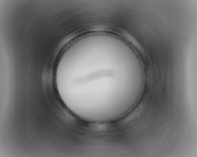 X0000113170831200909111033