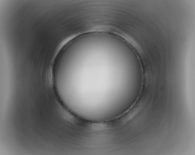 X0000113170838200909111033