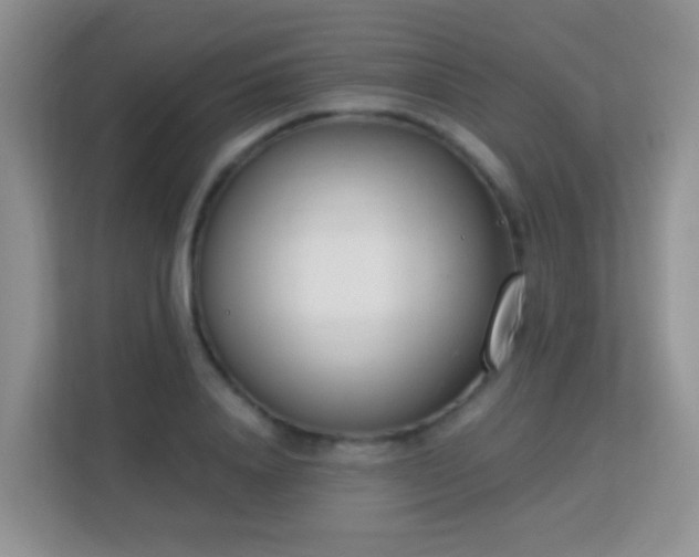X0000113170840200909111033