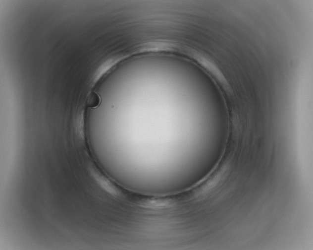 X0000113170842200909111033