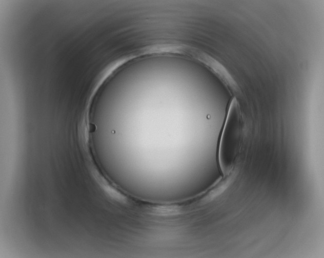 X0000113170844200909111033