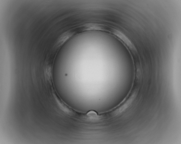 X0000113170849200909111033