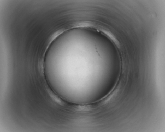 X0000113170850200909111033