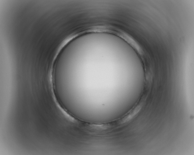 X0000113170855200909111033