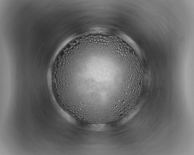 X0000113170859200909111033