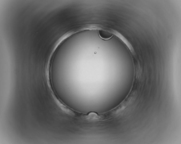 X0000113170861200909111033