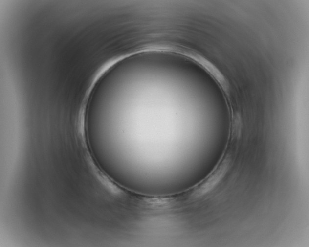 X0000113170862200909111033