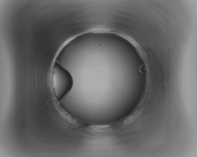 X0000113170864200909111033