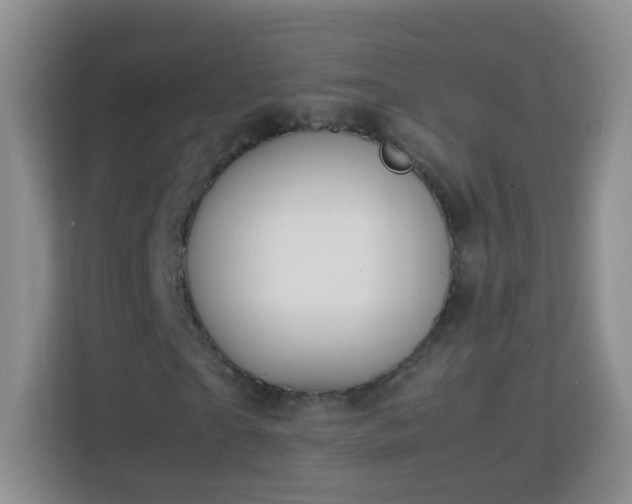 X0000113170865200909111032