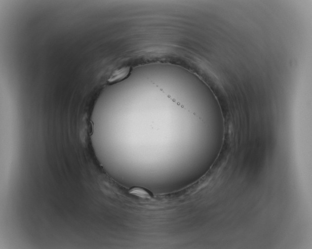 X0000113170868200909111032