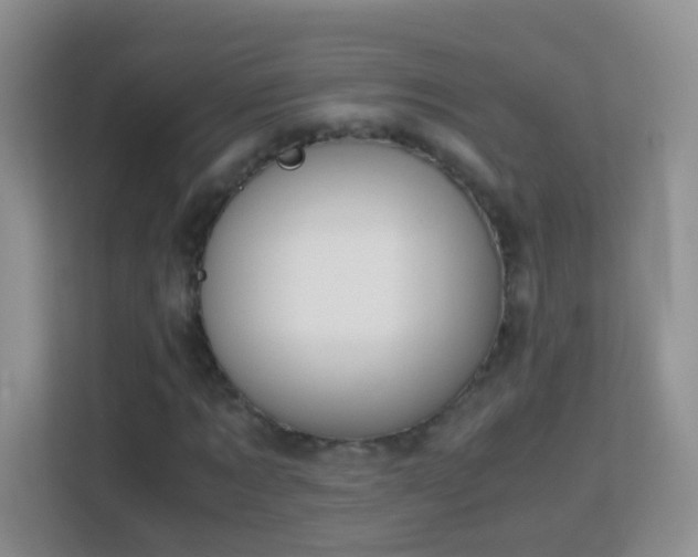 X0000113170869200909111032