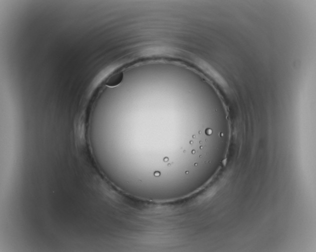X0000113170877200909111032