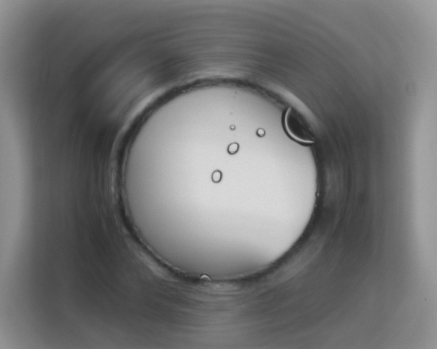 X0000113170878200909111032