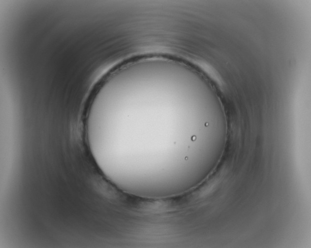 X0000113170879200909111032