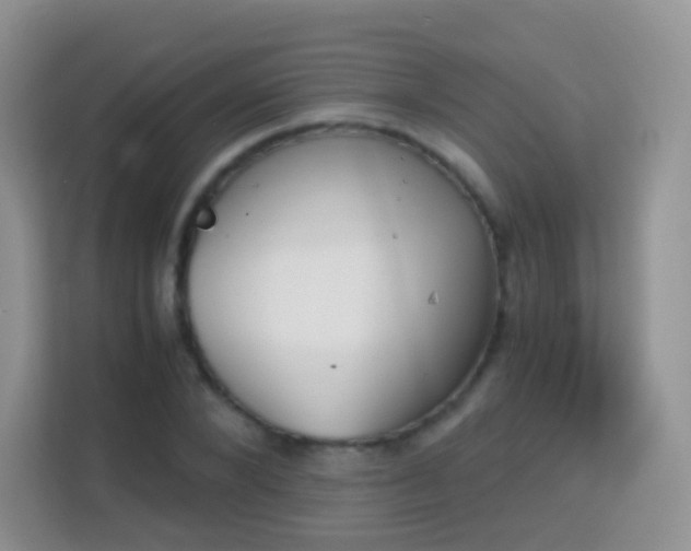 X0000113170880200909111032