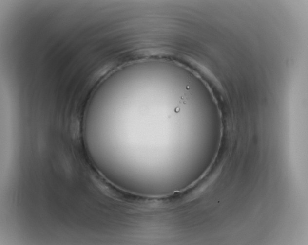 X0000113170881200909111032