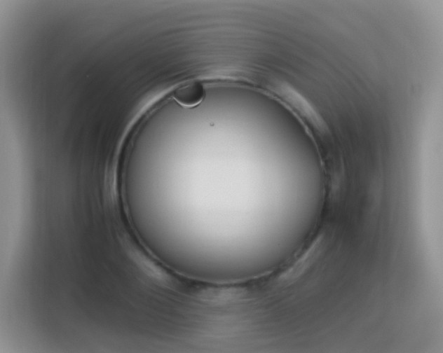 X0000113170884200909111032