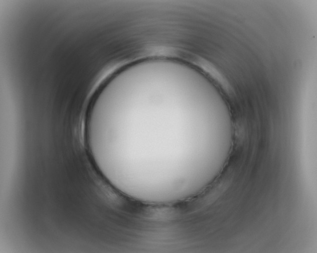 X0000113170886200909111032