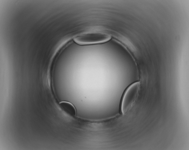X0000113170888200909111032