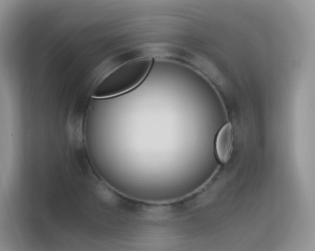 X0000113170889200909111032