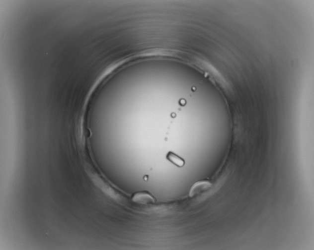 X0000113170892200909111032
