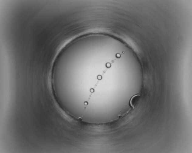 X0000113170895200909111032