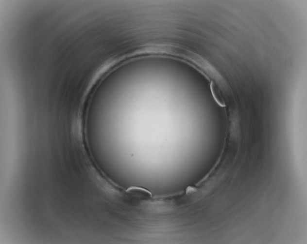 X0000113170896200909111032