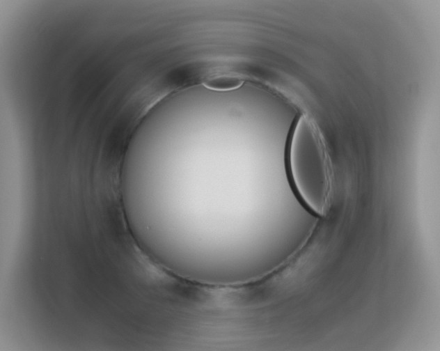 X0000113170897200909111032